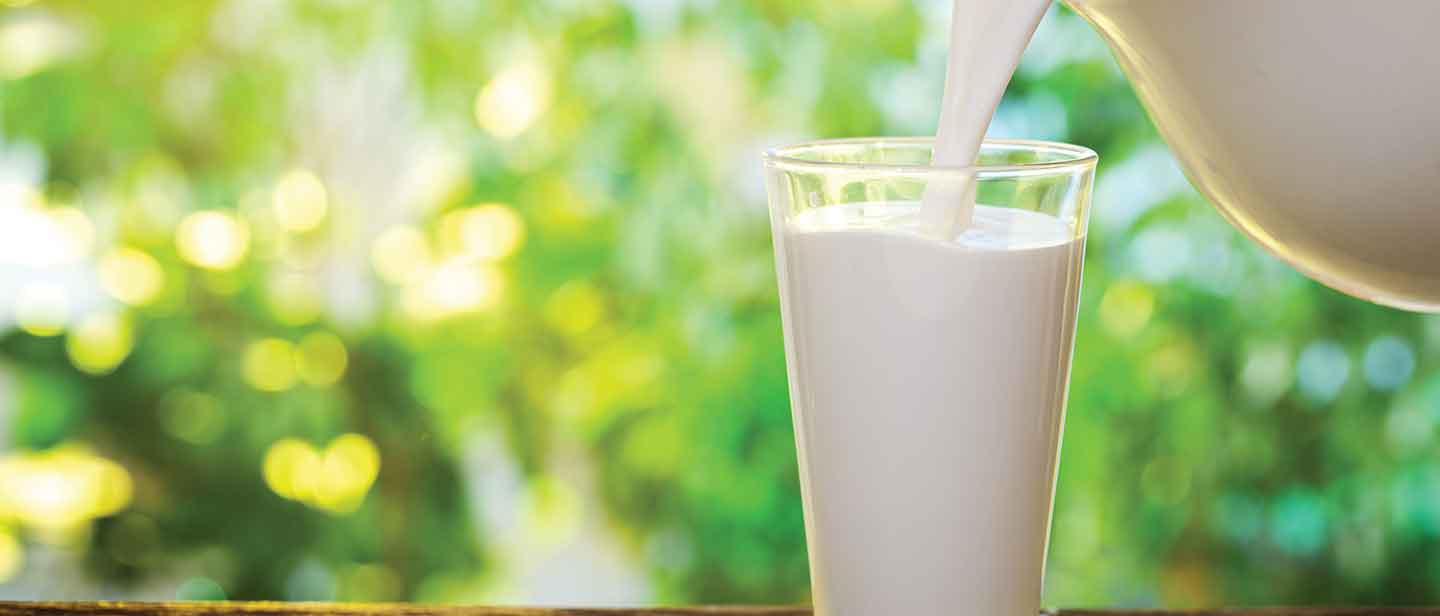 Chronicling Milk Mantra’s growth strategy