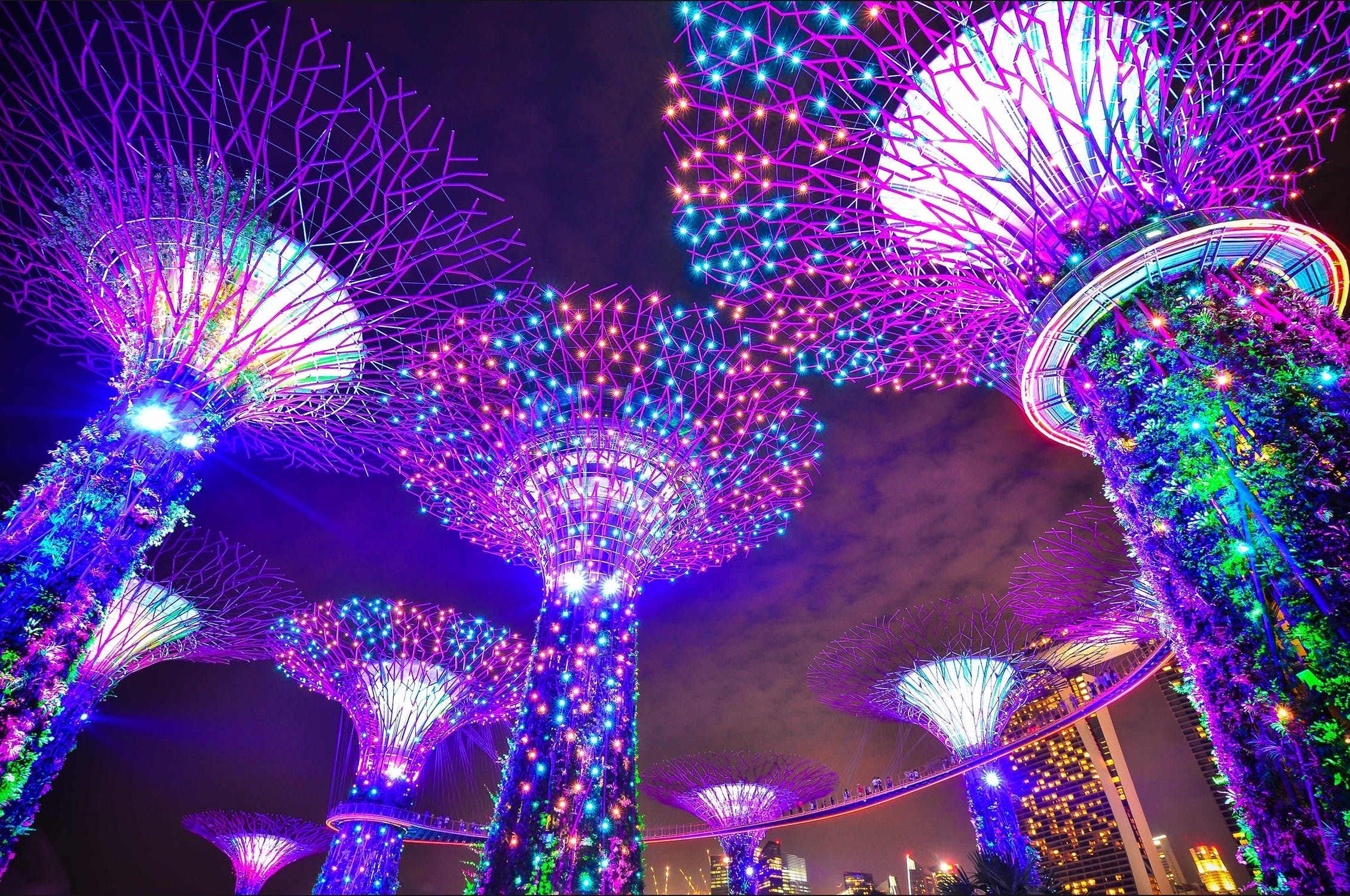 Spotlight On Singapore's Startup Ecosystem