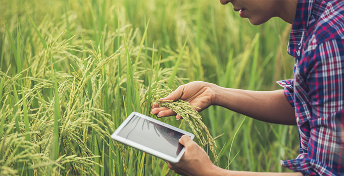 Technology for Improving Agricultural Productivity